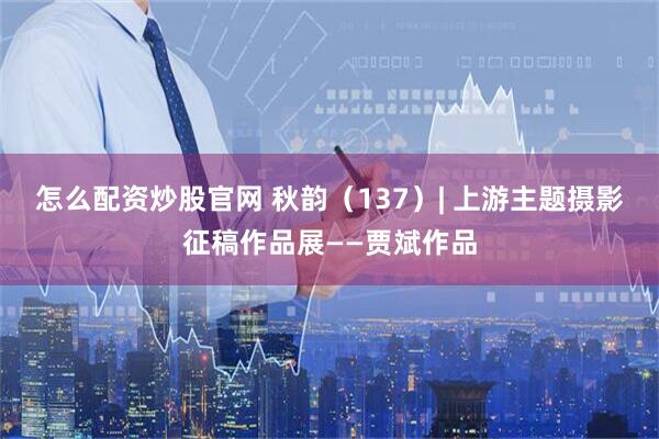 怎么配资炒股官网 秋韵（137）| 上游主题摄影征稿作品展——贾斌作品