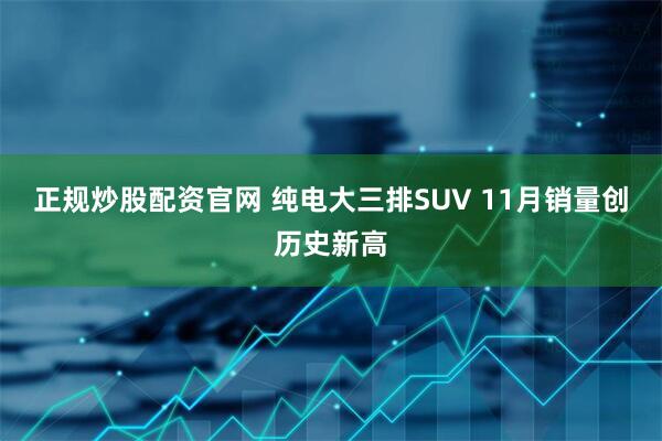 正规炒股配资官网 纯电大三排SUV 11月销量创历史新高