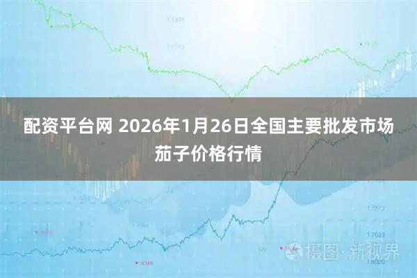 配资平台网 2026年1月26日全国主要批发市场茄子价格行情