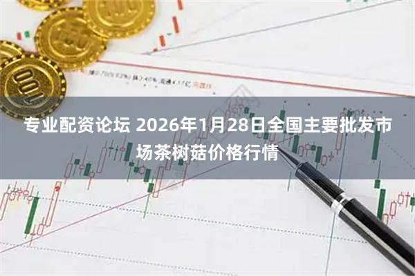 专业配资论坛 2026年1月28日全国主要批发市场茶树菇价格行情
