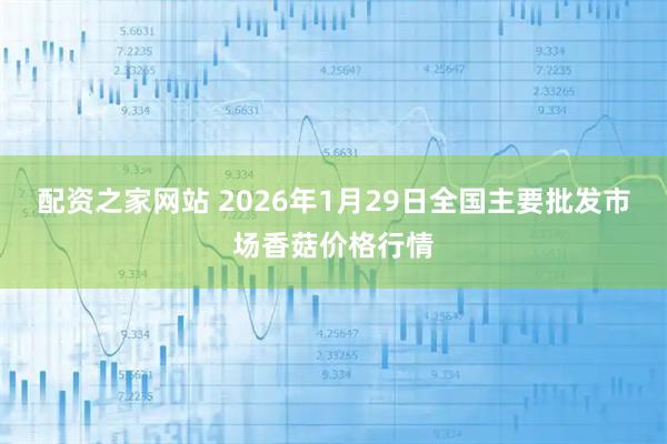 配资之家网站 2026年1月29日全国主要批发市场香菇价格行情