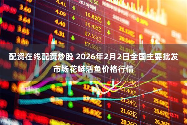 配资在线配资炒股 2026年2月2日全国主要批发市场花鲢活鱼价格行情