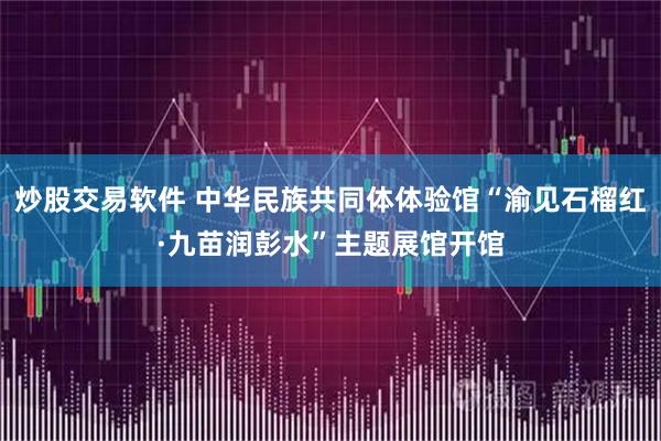 炒股交易软件 中华民族共同体体验馆“渝见石榴红·九苗润彭水”主题展馆开馆